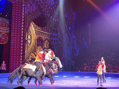 -珠海横琴长隆《卡卡虎奇遇记》