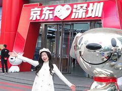-京东电器城市旗舰店(深圳华强北店)