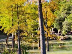 -广州白江湖森林公园