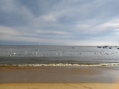 -老虎石海上公园