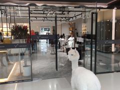 -MR.ZOO小小动物元室内动物园(沈阳沈河盛京中心)