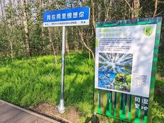 -同里国家湿地公园