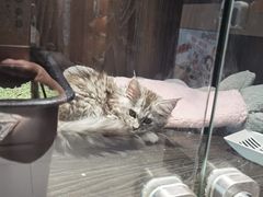 -上海书城(福州路店)