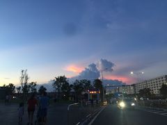 -宝安西湾红树林湿地公园