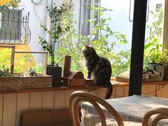 靠窗位-海边的猫和咖啡馆