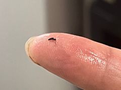 -竹鱼轩(软件园路店)