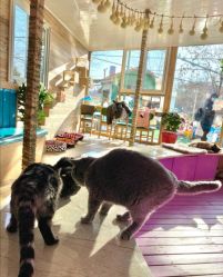 -萌宠亲子动物乐园(槐房万达店)