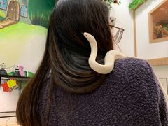 -藦茜花园宠物主题亲子互动体验馆(国顺东路店)