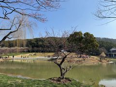 -无锡梅园公园