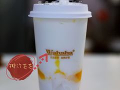 椰汁芒芒-娃哈哈·奶茶(武林店)