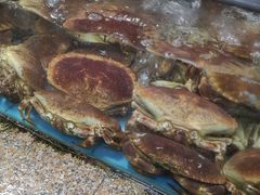 -济南海鲜大市场