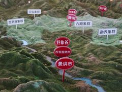 -野象谷景区