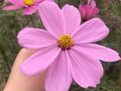 -钟山体育运动公园