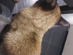 -吱咖啡西式简餐