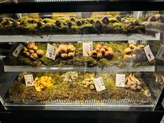 -滇野云南野生菌餐厅(陕西南路店)