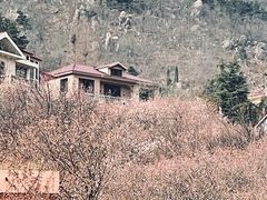 -崂山九水游览区