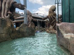 -新加坡水上探险乐园