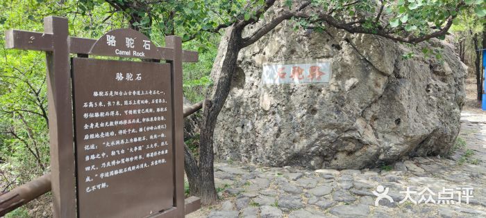 阳台山自然风景区图片