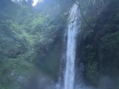 -莫里热带雨林景区