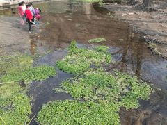 -白水寺森林公园