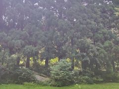 -庐山风景区花径公园