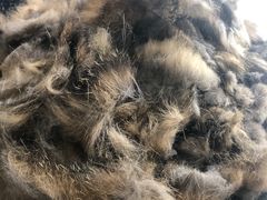 -金杨新村六街坊