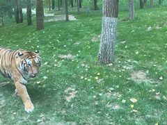 -北京野生动物园