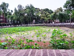 -四川大学(望江校区)