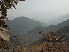 -大岭沟猕猴桃谷风景区