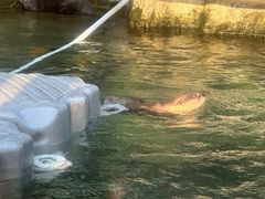 -香港海洋公园