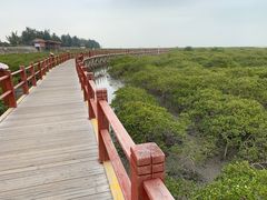 -北海金海湾红树林生态旅游区