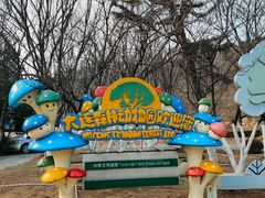 -大连森林动物园