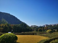 -南沙蒲洲花园
