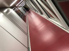 -石家庄正定国际机场-T2航站楼