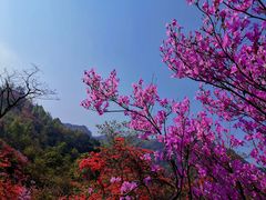 -岳西天峡风景区