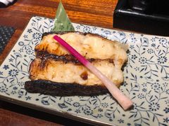 银雪鱼-串鑫