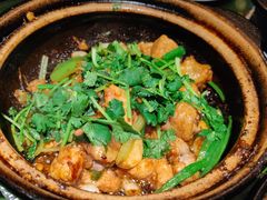 沙姜嗜鸡-煲煲好(朝阳门店)