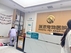 -瑞派康怡24h宠物医院·犬猫医疗中心·微创绝育(瑞景分院)