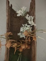 -香秀空间科技抗衰·美容中心