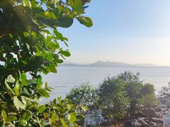 -深圳湾公园(南山区)