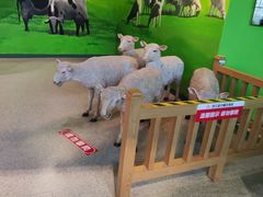 -中国杭州低碳科技馆