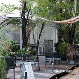         嗯☕️这里还真的挺不错🌟🌟🌟🌟