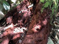 -七仙岭温泉国家森林公园
