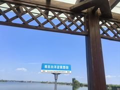 -白洋淀景区