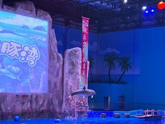 -华夏文旅海洋公园