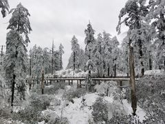 -瓦屋山景区
