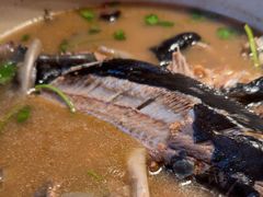 -渔掌门(铁东店)