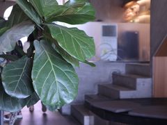 -龙治汉堡(中华城店)