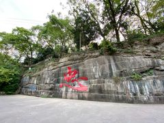 -忠山公园