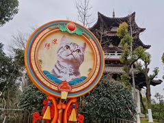 -武汉园博园(武汉自然博物馆)